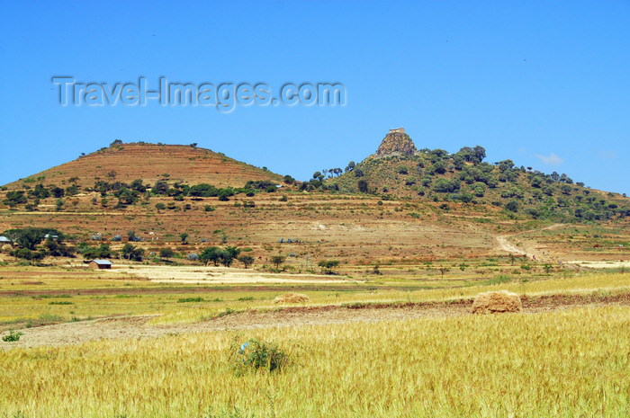 ethiopia326: Axum - Mehakelegnaw Zone, Tigray Region: Abba Pentalewon monastery and teff field - photo by M.Torres - (c) Travel-Images.com - Stock Photography agency - Image Bank