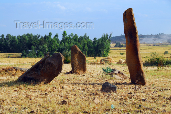 ethiopia351: Axum - Mehakelegnaw Zone, Tigray Region: Gudit stelae field,  reputed to contain the tomb of the Queen of Sheba - photo by M.Torres - (c) Travel-Images.com - Stock Photography agency - Image Bank