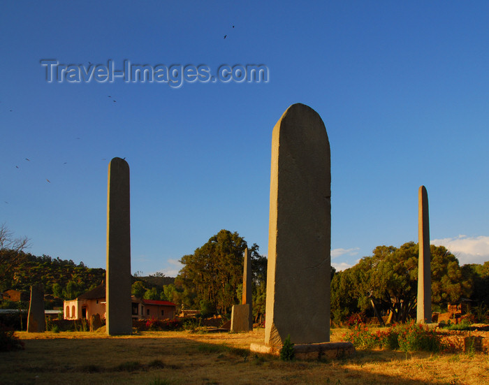 ethiopia403: Axum - Mehakelegnaw Zone, Tigray Region: plain stelae in the golden hour sun - Northern stelae field - photo by M.Torres - (c) Travel-Images.com - Stock Photography agency - Image Bank