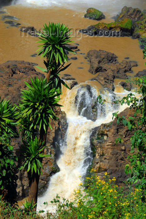 ethiopia445: Blue Nile Falls - Tis Issat, Amhara, Ethiopia: pond and lower falls - photo by M.Torres - (c) Travel-Images.com - Stock Photography agency - Image Bank