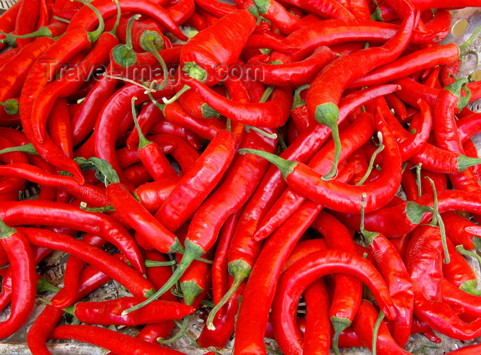 ethiopia48: Addis Ababa, Ethiopia: red chili peppers - Capsicum - photo by M.Torres - (c) Travel-Images.com - Stock Photography agency - Image Bank
