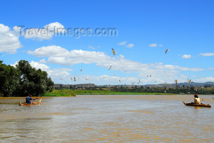 ethiopia497: Lake Tana, Amhara, Ethiopia: outlet of the Blue Nile, the Abay - the river heads south and then west towards Sudan  - photo by M.Torres  - (c) Travel-Images.com - Stock Photography agency - Image Bank