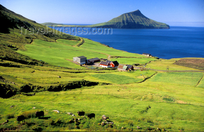 faeroe13: Faroes / Faeroe islands - Streymoy island: costal view near Torshavn - photo by D.Forman - (c) Travel-Images.com - Stock Photography agency - Image Bank