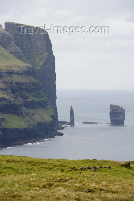 faeroe15: Eysturoy island, Faroes: view over Risin and Kellingin - basalt sea stacks - northern tip of the island - photo by A.Ferrari - (c) Travel-Images.com - Stock Photography agency - Image Bank