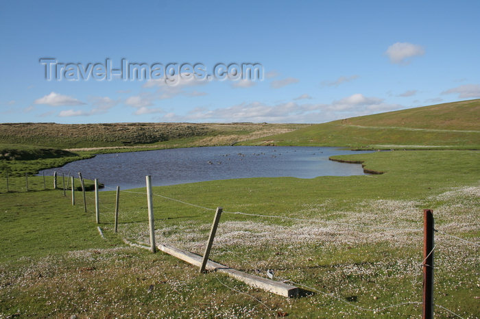 falkland29: Falkland islands - East Falkland - Port Louis - pond - photo by Christophe Breschi - (c) Travel-Images.com - Stock Photography agency - Image Bank