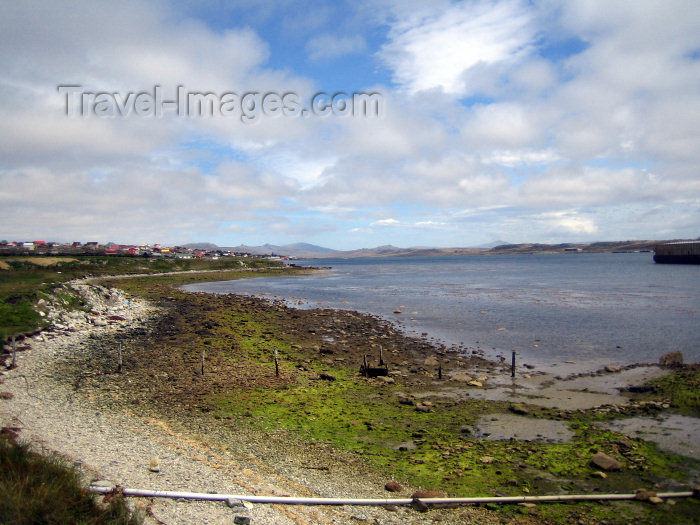 falkland3: Falkland islands / Ilhas Malvinas - East Falkland - Stanley: the beach - photo by C.Breschi - (c) Travel-Images.com - Stock Photography agency - Image Bank