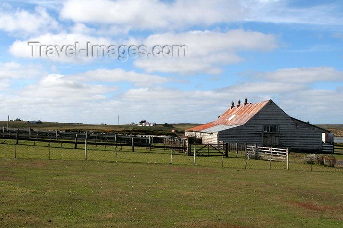 falkland40: Falkland islands - East Falkland - Salvador - farm - photo by Christophe Breschi - (c) Travel-Images.com - Stock Photography agency - Image Bank