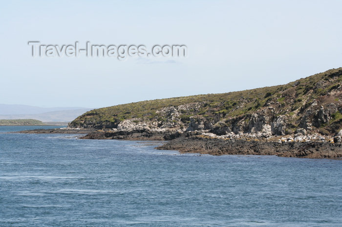 falkland48: Falkland islands - East Falkland - Salvador - rocky coast - photo by Christophe Breschi - (c) Travel-Images.com - Stock Photography agency - Image Bank