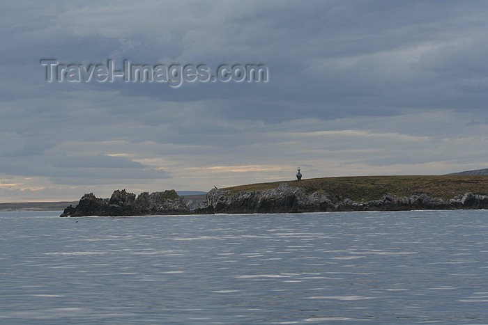 falkland52: Falkland islands - East Falkland - Berkeley Sound - photo by Christophe Breschi - (c) Travel-Images.com - Stock Photography agency - Image Bank