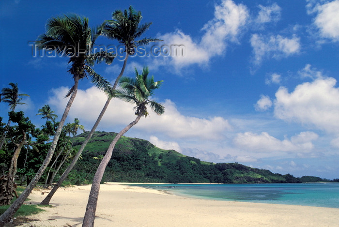 fiji23: Nacula Island, Yasawa group, Fiji: idyllic tropical beach with white sand, coconut trees and turquoise water - photo by C.Lovell - (c) Travel-Images.com - Stock Photography agency - Image Bank