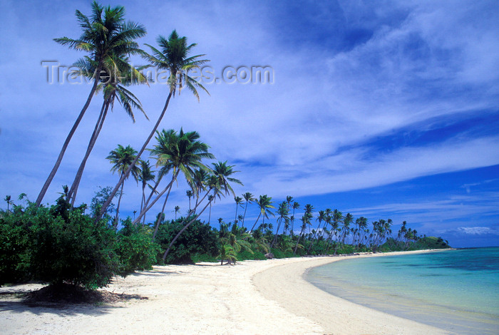 fiji3: Malolo Lailai island, Viti Levu, Fiji: a beautiful white sand beach lined with coconut trees on the resort island of Malolo Lailai off the coast of Viti Levu - photo by C.Lovell - (c) Travel-Images.com - Stock Photography agency - Image Bank