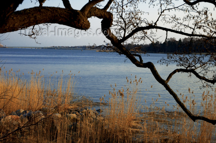 fin128: Finland - Helsinki, Lauttasaari area, a view into the sea with sunset - photo by Juha Sompinmäki - (c) Travel-Images.com - Stock Photography agency - Image Bank