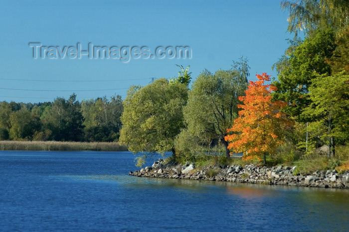 fin148: Finland - Hämeenlinna / Tavastehus, Aulanko natural reserve and park - Southern Finland province - Tavastia Proper region, Finnish national landscape - trees by the lake - photo by Juha Sompinmäki - (c) Travel-Images.com - Stock Photography agency - Image Bank