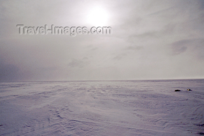 fin31: Finland - Lapland - snow horizon - Arctic images by F.Rigaud - (c) Travel-Images.com - Stock Photography agency - Image Bank