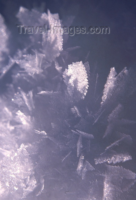 fin47: Finland - Lapland: ice crystals (photo by F.Rigaud) - (c) Travel-Images.com - Stock Photography agency - Image Bank