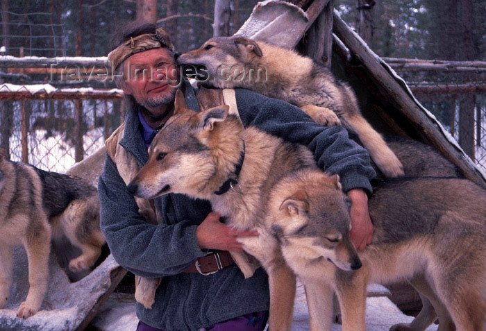 fin53: Finland - Lapland: huskies with owner - dogs (photo by F.Rigaud) - (c) Travel-Images.com - Stock Photography agency - Image Bank