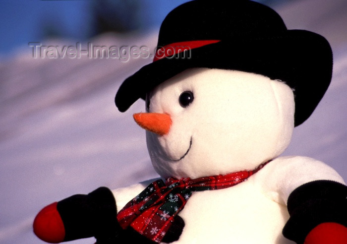 fin57: Finland - Levi: toy ice-man (photo by F.Rigaud) - (c) Travel-Images.com - Stock Photography agency - Image Bank