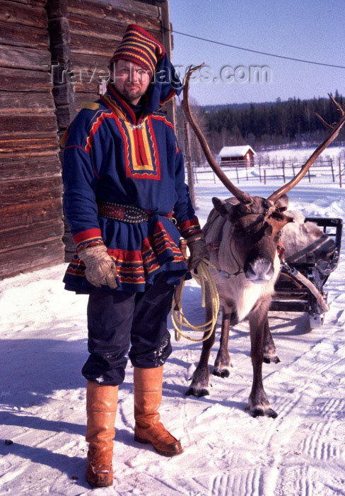 fin60: Finland - Levi: Sami farm - sledge and reindeer - Rangifer tarandus (photo by F.Rigaud) - (c) Travel-Images.com - Stock Photography agency - Image Bank