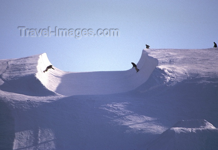 fin61: Finland - Levi: skateboard on ince (photo by F.Rigaud) - (c) Travel-Images.com - Stock Photography agency - Image Bank