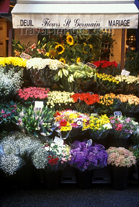 france1050: Paris, France: flowers for sale at a street market - Saint Germain des Près, Rue de Buci - 6e arrondissement - photo by C.Lovell - (c) Travel-Images.com - Stock Photography agency - Image Bank