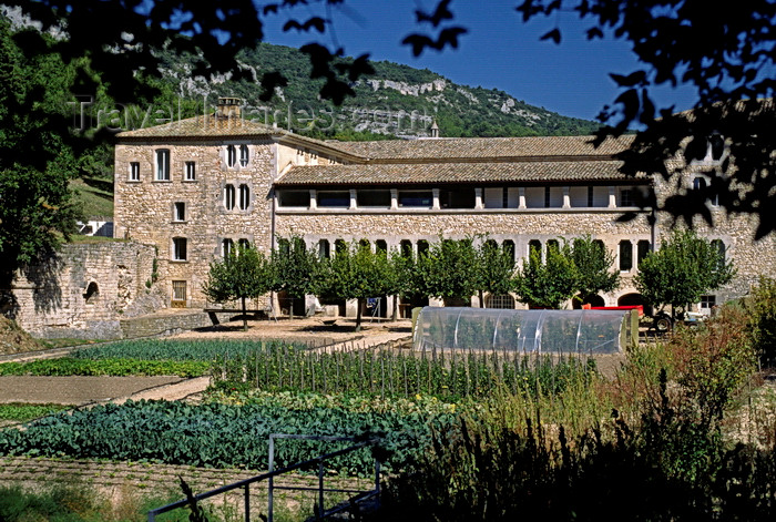 france1058: Gordes, Vaucluse, PACA, France: the vegetable garden at the Sénanque Abbey, 12th century Cistercian, one of the best preserved in the world - abadiá de Senhanca - photo by C.Lovell - (c) Travel-Images.com - Stock Photography agency - Image Bank