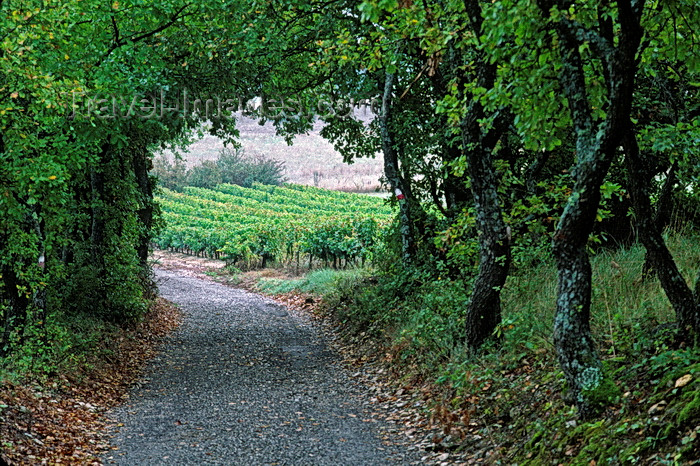 france1065: Vaucluse, PACA, France: a Provence country road and vineyard - photo by C.Lovell - (c) Travel-Images.com - Stock Photography agency - Image Bank