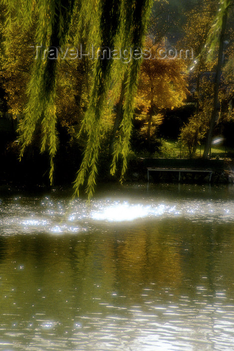 france1137: La Varenne, Val-de-Marne, Ile-de-France: sun sparks on the river Manre - photo by Y.Baby - (c) Travel-Images.com - Stock Photography agency - Image Bank