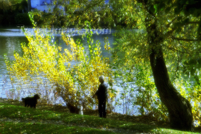 france1138: La Varenne, Val-de-Marne, Ile-de-France: walking the dog along the Marne - photo by Y.Baby - (c) Travel-Images.com - Stock Photography agency - Image Bank