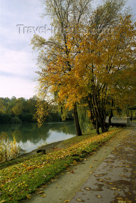 france1141: La Varenne, Val-de-Marne, Ile-de-France: autumn - trees along the Marne river - photo by Y.Baby - (c) Travel-Images.com - Stock Photography agency - Image Bank