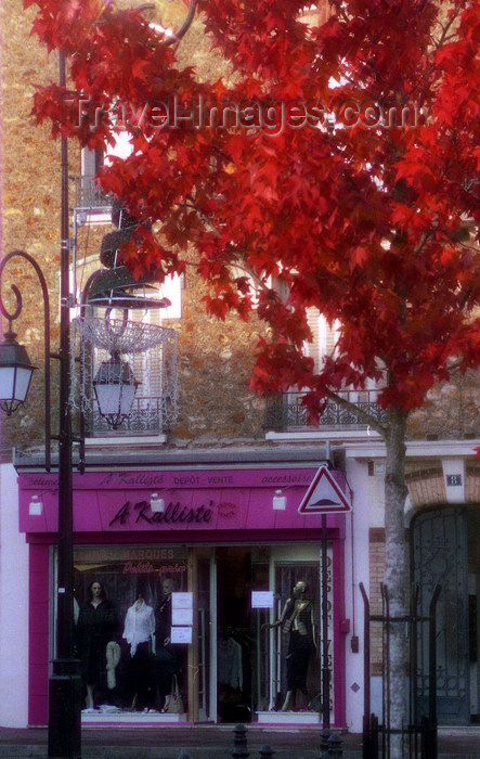 france1144: La Varenne, Val-de-Marne, Ile-de-France: boutique and red tree - photo by Y.Baby - (c) Travel-Images.com - Stock Photography agency - Image Bank