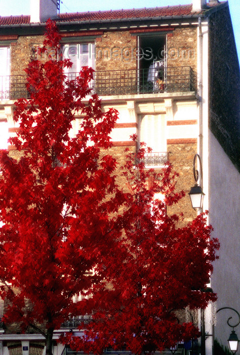 france1145: La Varenne, Val-de-Marne, Ile-de-France: flats and autumn leaves - photo by Y.Baby - (c) Travel-Images.com - Stock Photography agency - Image Bank