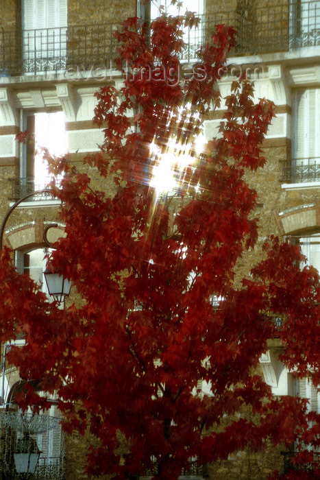 france1148: La Varenne, Val-de-Marne, Ile-de-France: autumn sun - photo by Y.Baby - (c) Travel-Images.com - Stock Photography agency - Image Bank