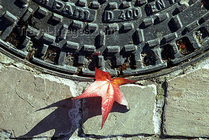 france1150: La Varenne, Val-de-Marne, Ile-de-France: manhole and leaf - autumn - photo by Y.Baby - (c) Travel-Images.com - Stock Photography agency - Image Bank