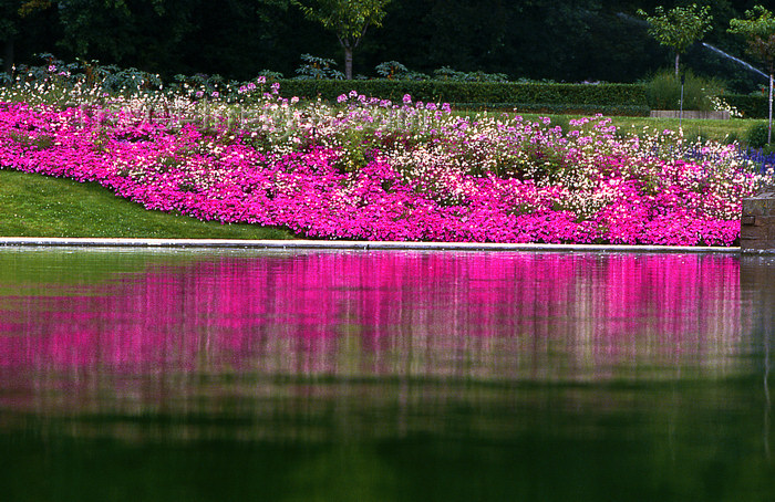 france1195: Vincennes - reflections on the lake - park floral - photo by Y.Baby - (c) Travel-Images.com - Stock Photography agency - Image Bank