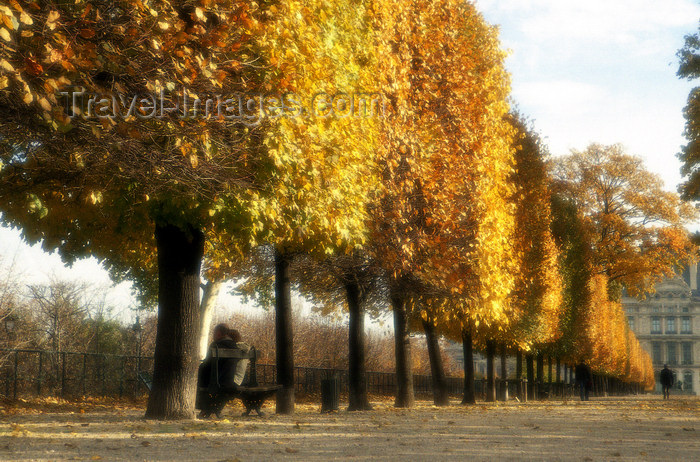 france1202: Paris: Tuileries Garden and the Louvre - Autumn - photo by Y.Baby - (c) Travel-Images.com - Stock Photography agency - Image Bank