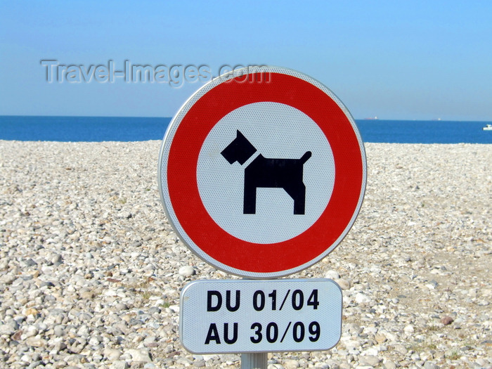 france1235: Le Havre, Seine-Maritime, Haute-Normandie, France: No Dogs allowed sign, Beach - photo by A.Bartel - (c) Travel-Images.com - Stock Photography agency - Image Bank