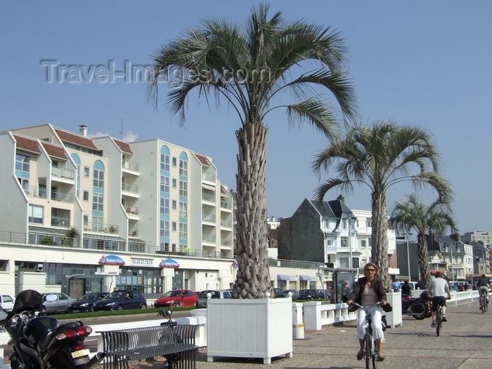 france1251: Le Havre, Seine-Maritime, Haute-Normandie, France: palm trees and bikers, Seafront - Normandy - photo by A.Bartel - (c) Travel-Images.com - Stock Photography agency - Image Bank