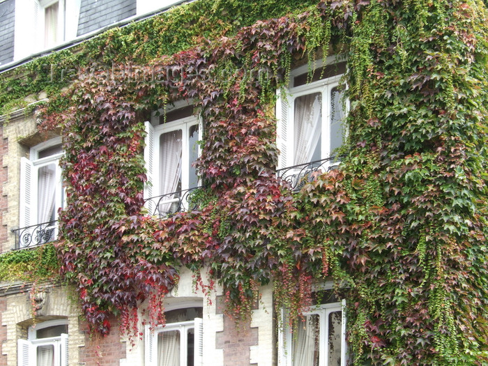 france1255: Le Havre, Seine-Maritime, Haute-Normandie, France: Ivy Covered House - brick facade - photo by A.Bartel - (c) Travel-Images.com - Stock Photography agency - Image Bank