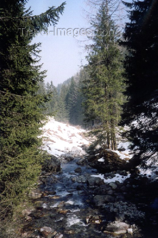 france22: France / Frankreich -  Argentière (Haute-Savoi): mountain creek - photo by M.Torres - (c) Travel-Images.com - Stock Photography agency - Image Bank