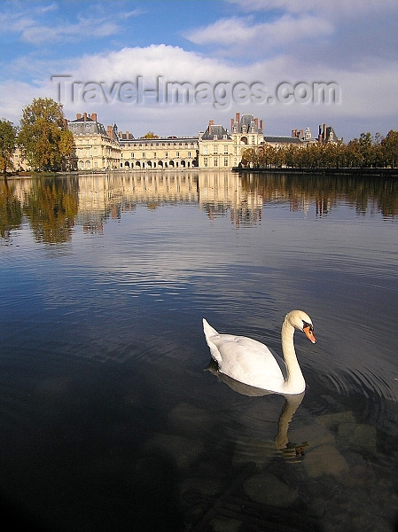 france250: France - Fontainebleau  (Seine et Marne): the palace - swan (photo by J.Kaman) - (c) Travel-Images.com - Stock Photography agency - Image Bank