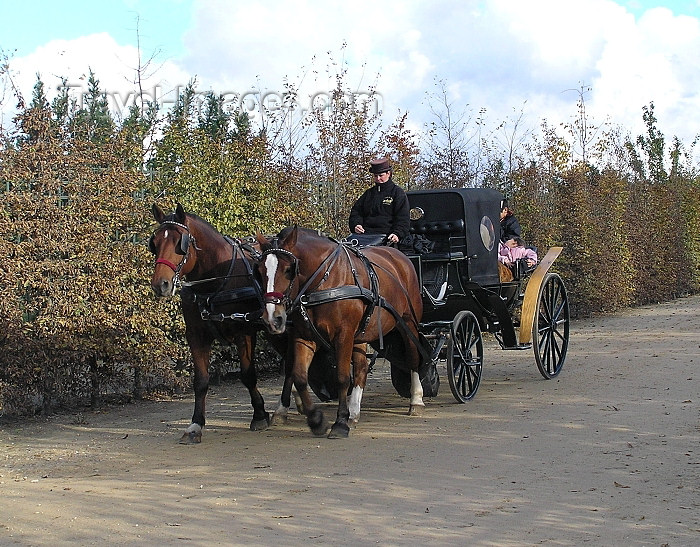 france251: France - Versailles (Yvelines): horse carriage - barouche - photo by J.Kaman - (c) Travel-Images.com - Stock Photography agency - Image Bank