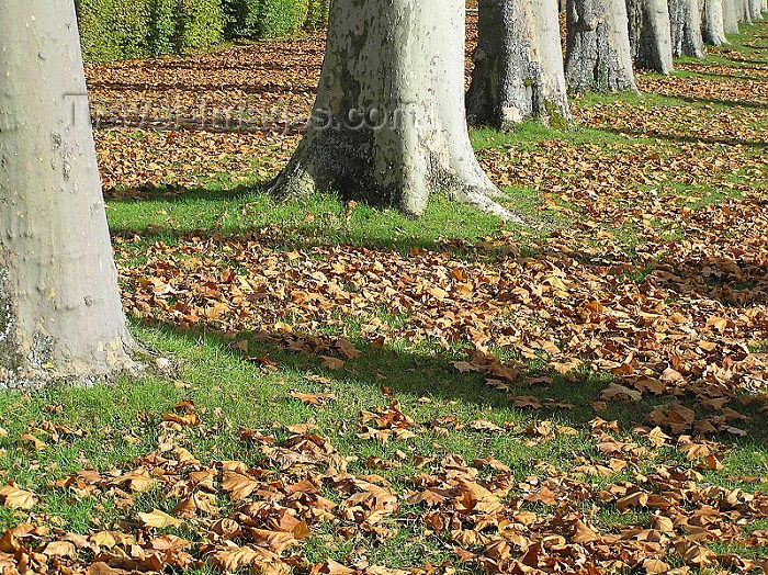 france252: France - Versailles (Yvelines): Autumn - fallen leaves - photo by J.Kaman - (c) Travel-Images.com - Stock Photography agency - Image Bank