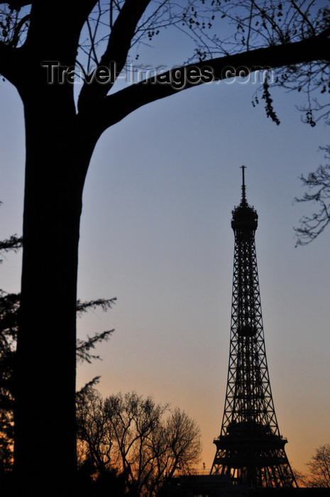 france551: Paris, France: tree and Eiffel Tower silhouettes at dusk - view from Les Invalides - photo by M.Torres - (c) Travel-Images.com - Stock Photography agency - Image Bank