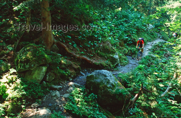 france912: Chamonix, Haute-Savoi, Rhône-Alpes, France: mountainbikers on a narrow forest track - Tour du Mont Blanc trail - photo by S.Egeberg - (c) Travel-Images.com - Stock Photography agency - Image Bank