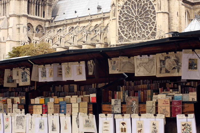 france944: Paris, France: book market at Notre-Dame cathedral - Île de la Cité - 4e arrondissement - photo by A.Bartel - (c) Travel-Images.com - Stock Photography agency - Image Bank