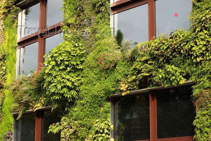 france947: Paris, France: Musée du quai Branly (MQB) - Quai Branly Museum - architect Jean Nouvel - planted green wall designed by Gilles Clément and Patrick Blanc - 7e arrondissement - photo by A.Bartel - (c) Travel-Images.com - Stock Photography agency - Image Bank