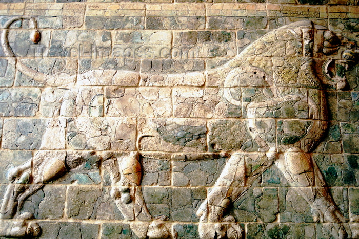 france995: Paris, France: Persian Glazed brick Lion - terracotta relief from Darius's palace in Susa, Louvre Museum - 1er arrondissement - photo by K.Gapys - (c) Travel-Images.com - Stock Photography agency - Image Bank