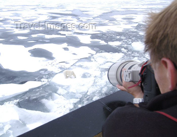 franz-josef56: Franz Josef Land Photographer shooting a polar bear from the cruise ship - Arkhangelsk Oblast, Northwestern Federal District, Russia - photo by Bill Cain - (c) Travel-Images.com - Stock Photography agency - Image Bank