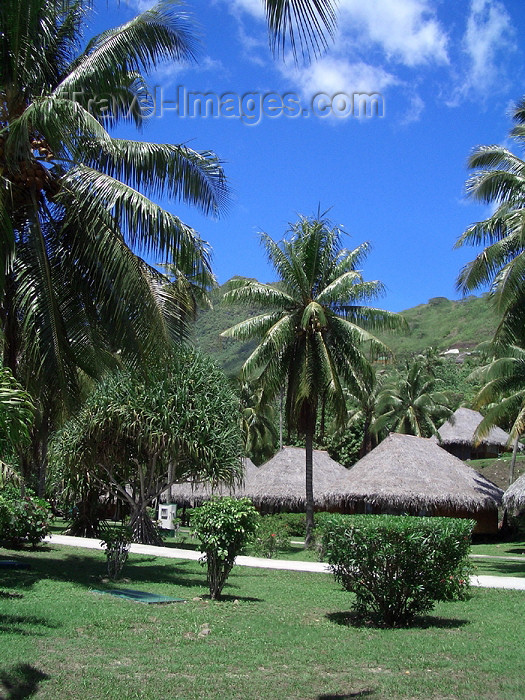 french-polynesia11: French Polynesia - Moorea / MOZ (Society islands, iles du vent): bungalow over the beach - photo by R.Ziff - (c) Travel-Images.com - Stock Photography agency - Image Bank