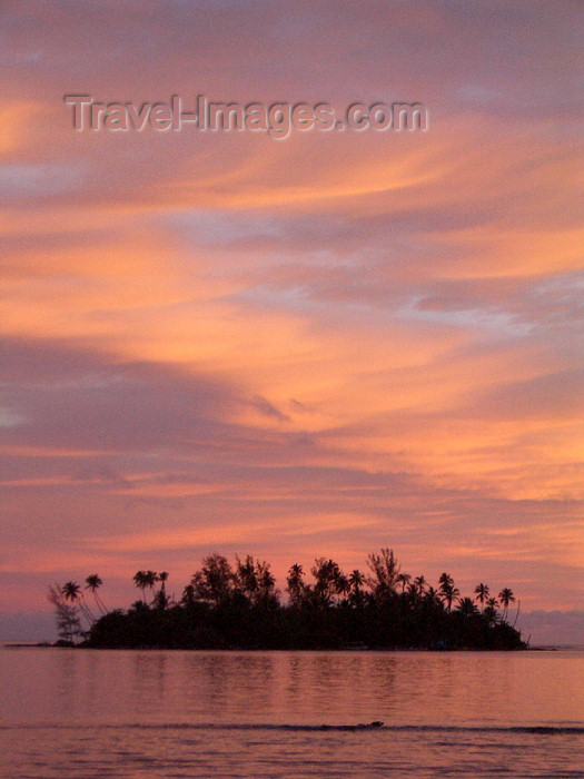 french-polynesia111: French Polynesia - Moorea / MOZ (Society islands, iles du vent): Motu Ahi island seen from Afarealtu - East coast - photo by R.Ziff - (c) Travel-Images.com - Stock Photography agency - Image Bank